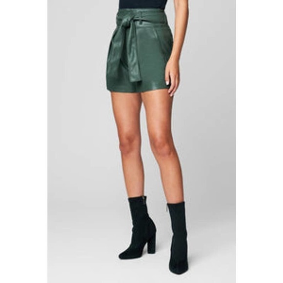 BLANKNYC Faux Leather High Rise Zippered Shorts Tie Front Pockets Size 28 NWT - Picture 3 of 12